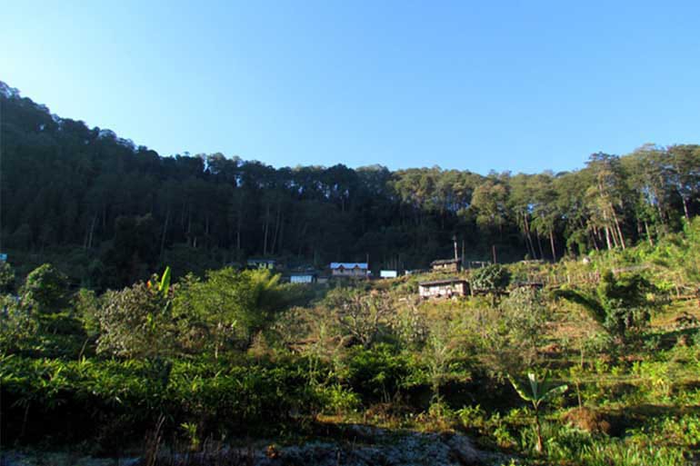 Himalayan Nest (Family Suite)